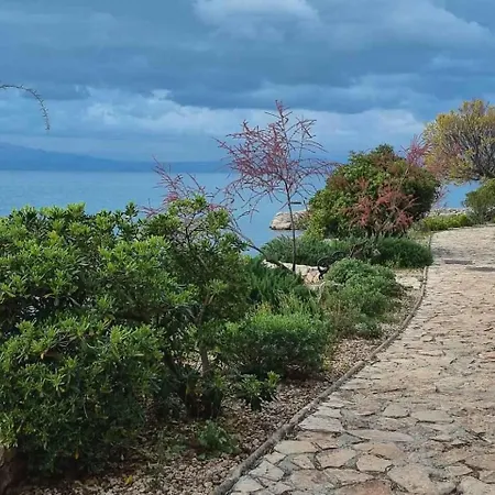 Near In Vantacici-insel Krk 55367 ヴァンタシチ